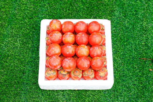 新鮮臘菜圖片素材下載 食品餐飲素材下的蔬菜水果圖片素材 匯圖網