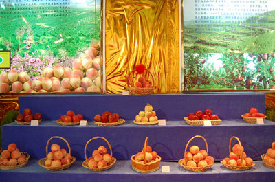 寫在2010中國天水&middot;秦安果品博覽會之際(三)--天水在線