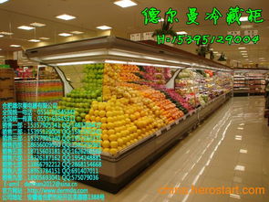 潮州供應(yīng)各類冷藏保鮮設(shè)備 KTV酒水柜、牛奶水果柜、酸奶果品保鮮柜選購指南