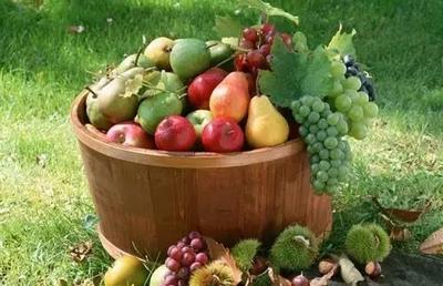 把握果品產業發展大趨勢，勇做時代弄潮兒