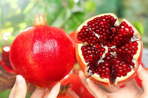 黑真珠石榴 餐飲與攝影交匯的新寵