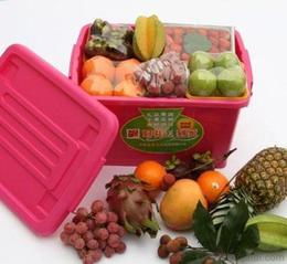 高端果品 供應、批發與市場洞察