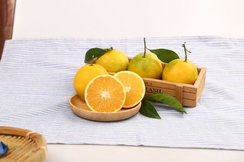 亞特獼猴桃 從田園到餐桌的綠色藝術