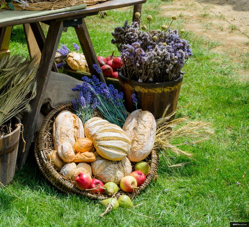 蔬果籃中的美學定格 從平凡食材到視覺盛宴的美食攝影藝術